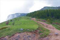 Красиво тут.