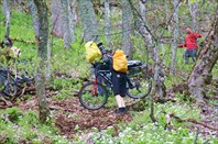 Мелкими перебежками.