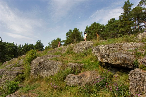 `Спинка` стула