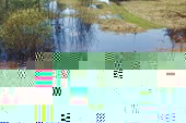 P5010016