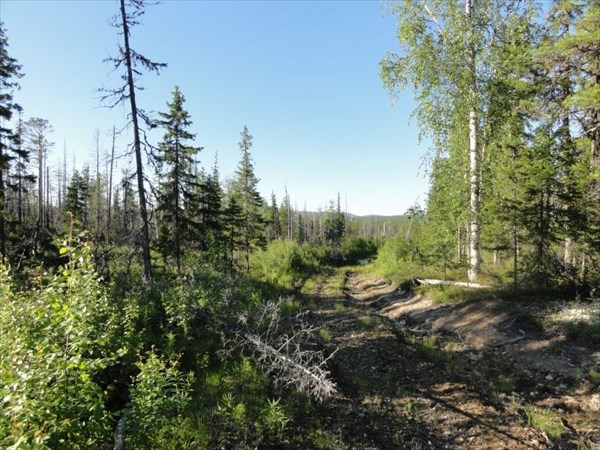 Теперь не заблудимся.