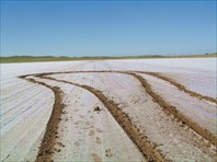 Разворот на соляном поле: можно увязнуть. Фото Ирины Агашкиной.