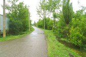 IMG_2386