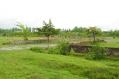 IMG_2389