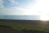 IMG_2392
