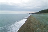IMG_2397