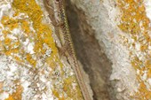 P4200317_resize
