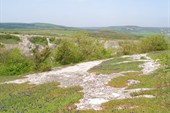 P4200318_resize