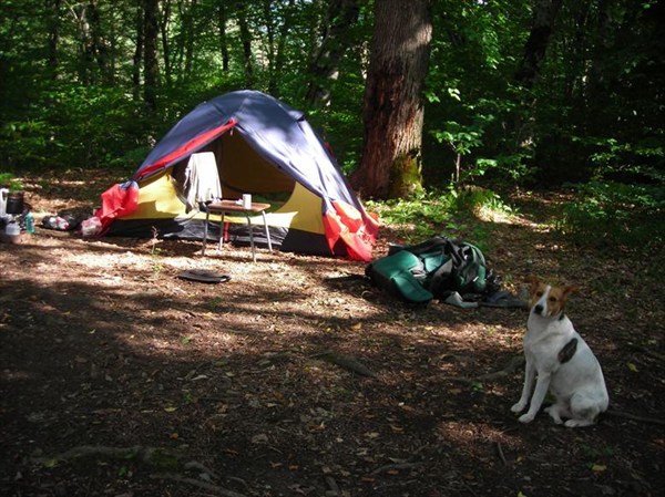 на фото: Наша палатка на окраине лагеря "Белая речка"