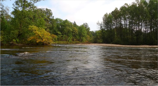 Река Каменушка... чистая...