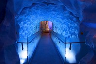 Ледовая галерея в музее подводного мира и Антарктики-Подводный аквариум Кэлли Тарлтон