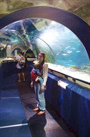 Внутри аквариума