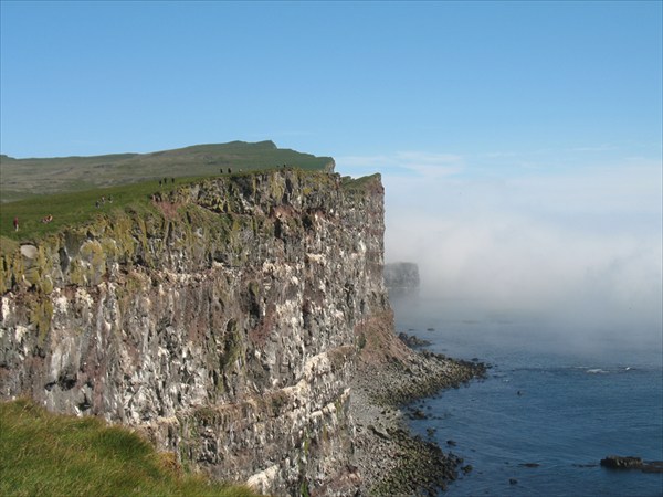 Скалы Латрабьярк (Latrabjarg) 