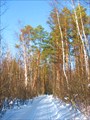 IMG_0951