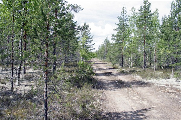 около аэродрома