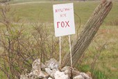 img_0965