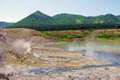 Фумарольные поля