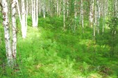 IMG_6138