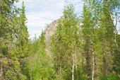 IMG_6171