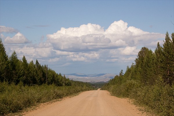 Дорога на Таловку