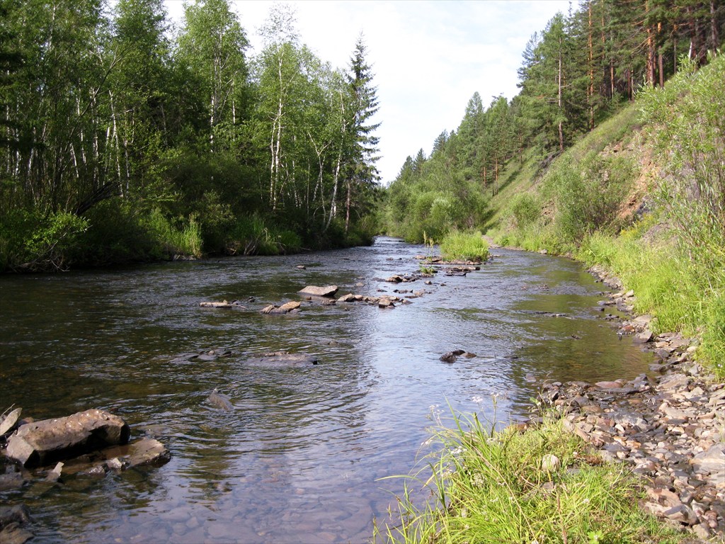 Река черемшанка