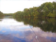 Сплошные топляки (ниже Шалакушы)