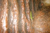 IMG_1690