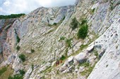 IMG_1708