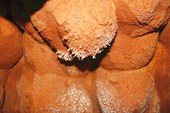 IMG_1855