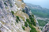 IMG_1905