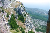IMG_1907