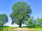 IMG_20210618_103541