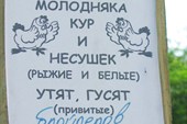 Вроде успели...Никому курочка не треба?