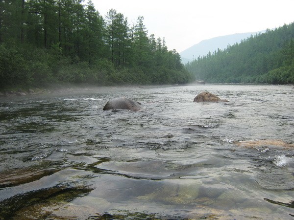 Чистейшая вода!