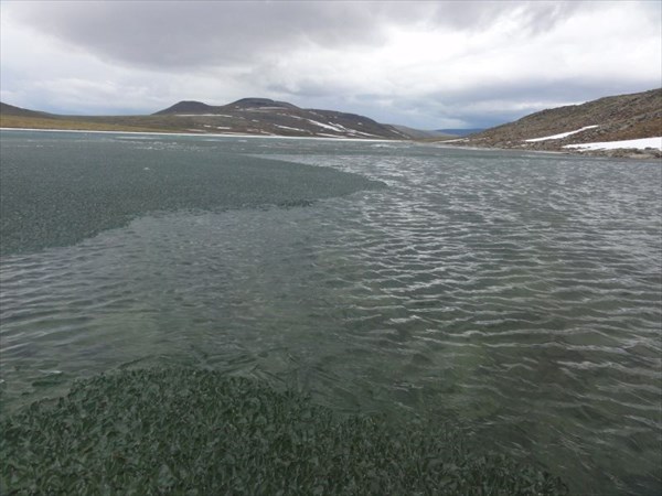 Озеро Колокольня в конце июня