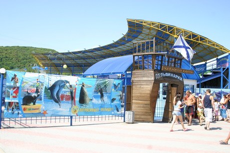 Дельфинарий