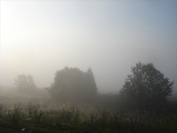 Нас утро встречает туманом.