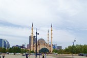 IMG_20240421_135844