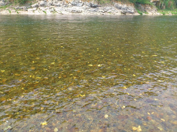 Вот такая прозрачная водичка в реке Кия
