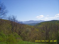 Альминское лесничество