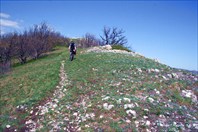 Арбатовские Downhillы
