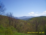 Альминское лесничество