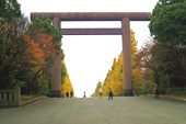 Тории храма Ясакуни