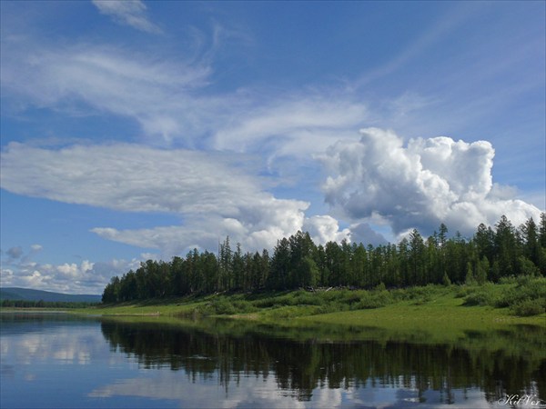 Река Олёкма