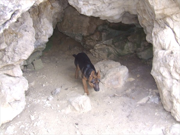 Пещерный собак