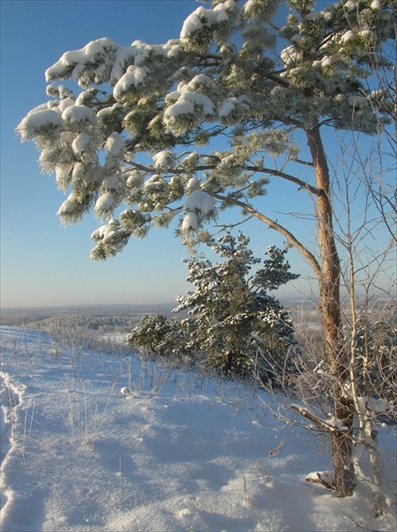 Улантова