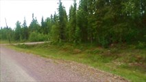 IMG_20150726_110238