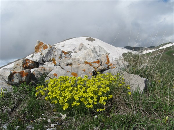 IMG_0735_resize