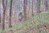 IMG_3935