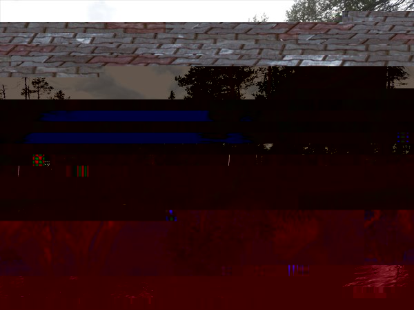 DSCN4364